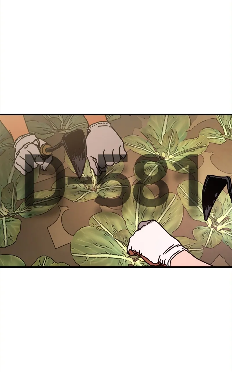 Hiding Out in an Apocalypse - 1 - 67cd0565495fb.webp