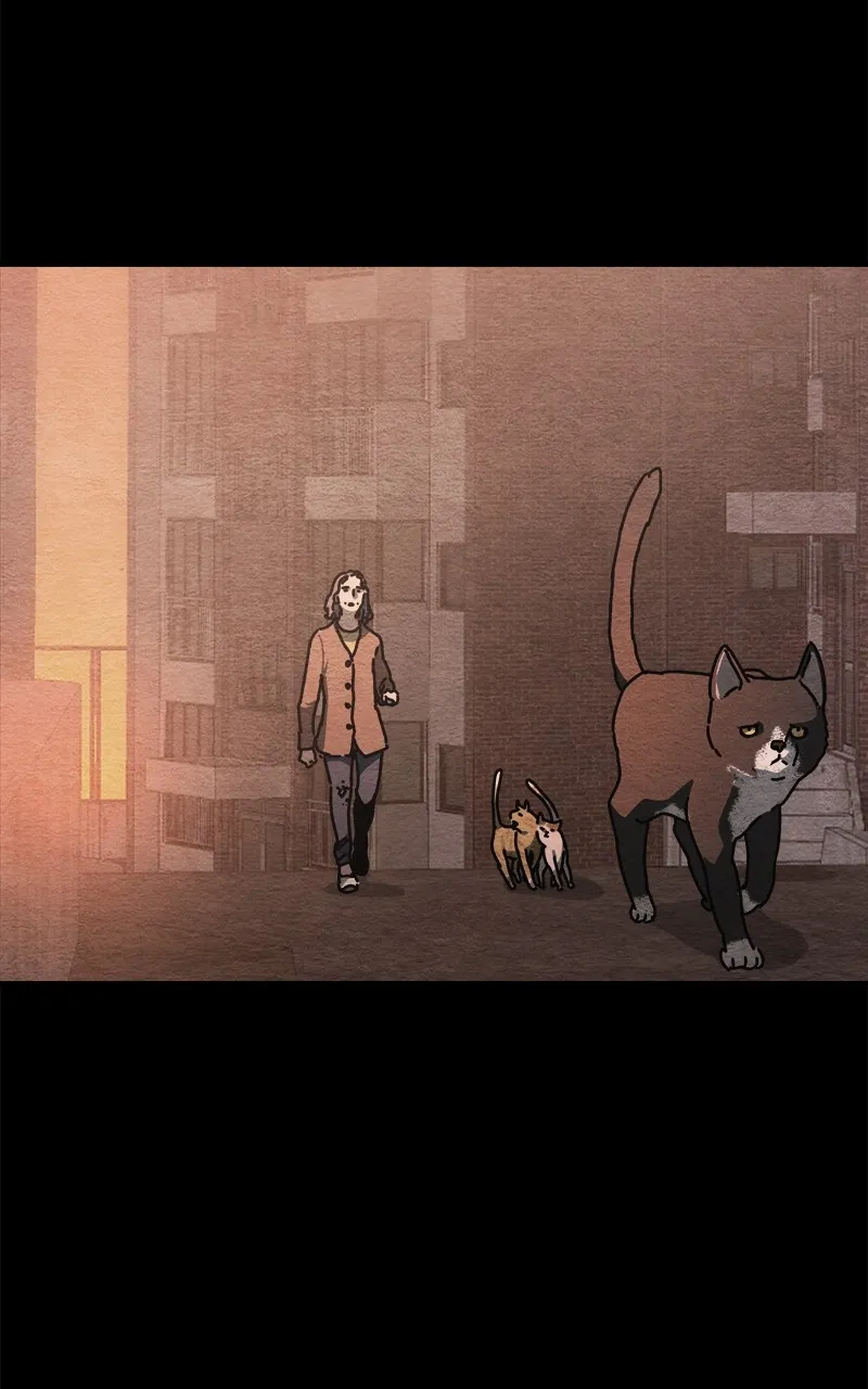 Hiding Out in an Apocalypse - 11 - 67ec0b750391e.webp