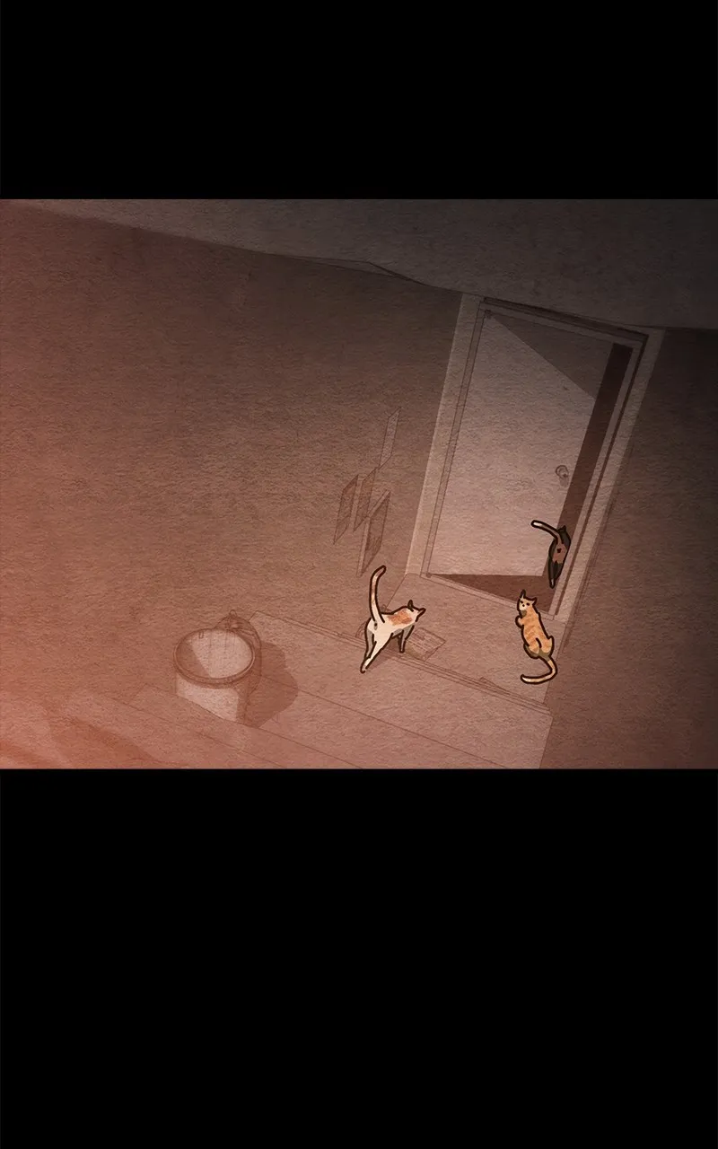 Hiding Out in an Apocalypse - 11 - 67ec0b7528604.webp