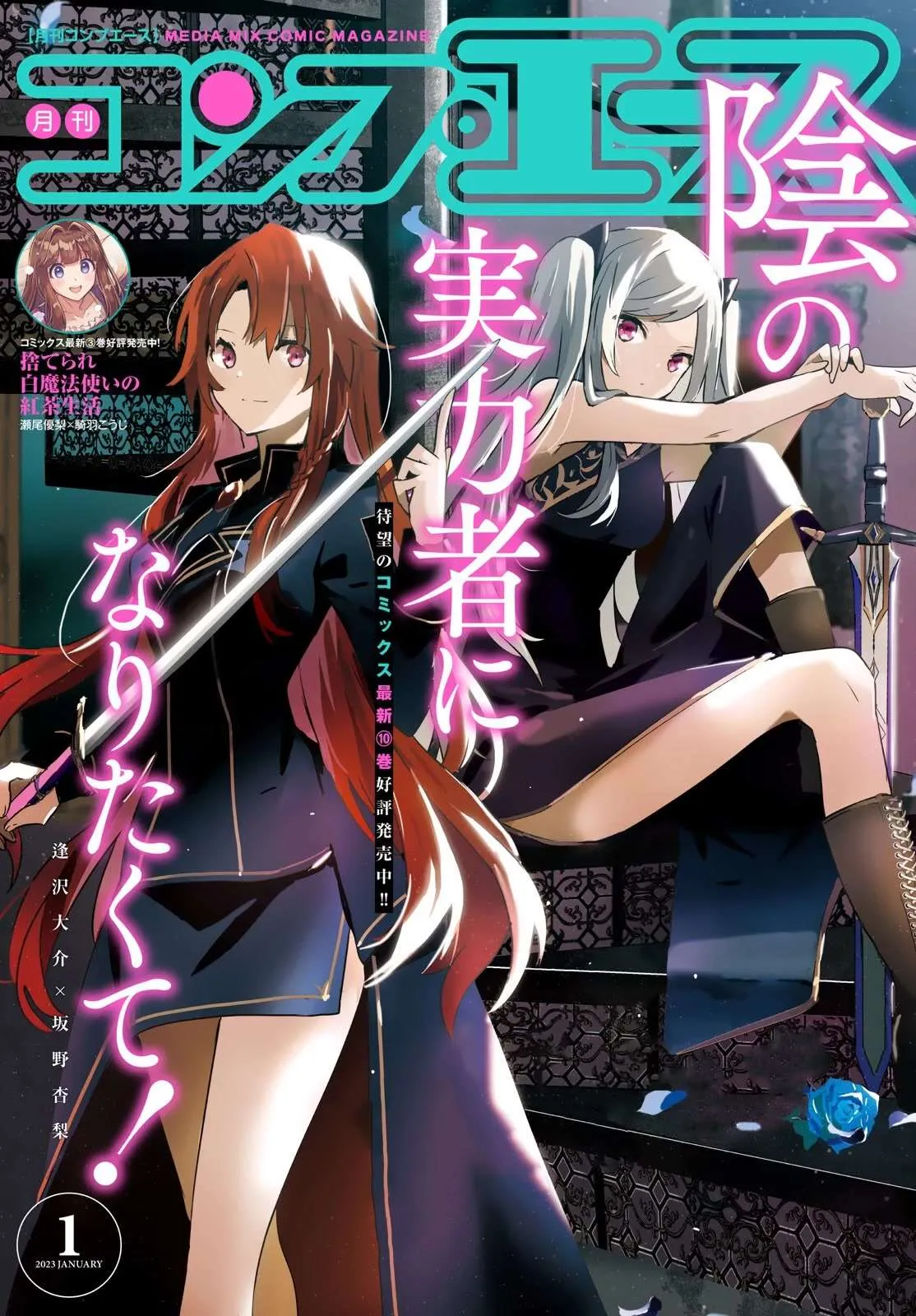 Kage No Jitsuryokusha Ni Naritakute - 47 - 67c7240735f26.webp