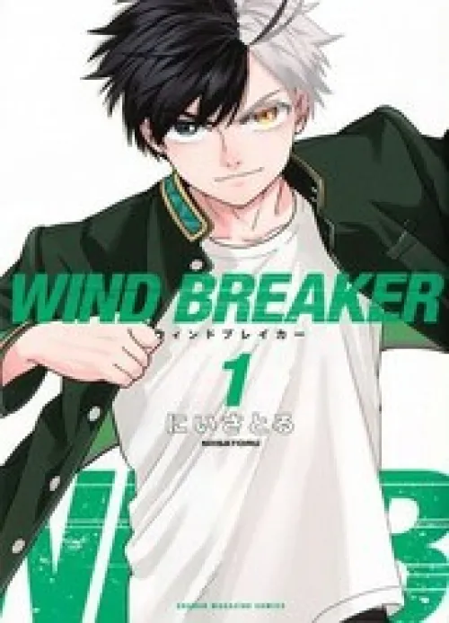 Wind Breaker (Nii Satoru)